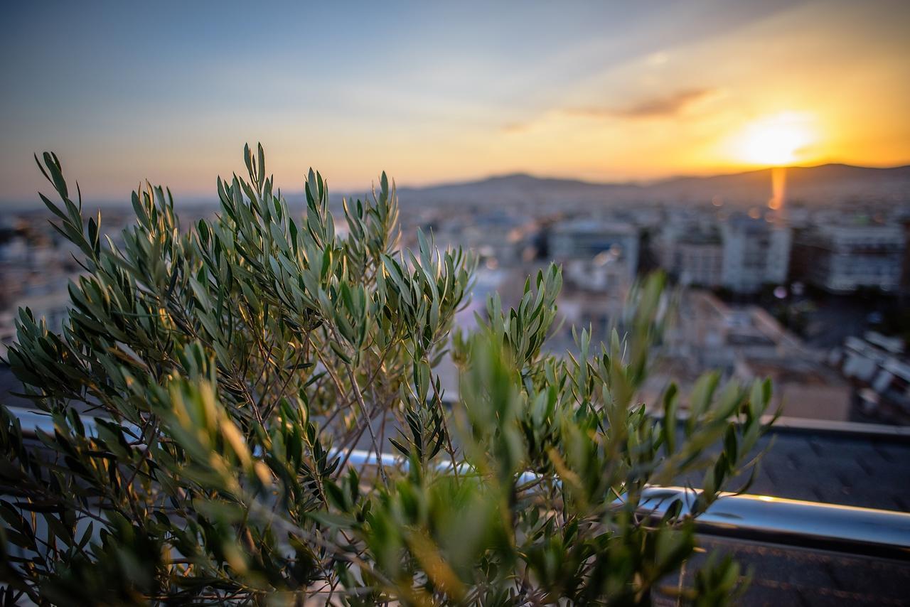 Radisson Blu Park Hotel Атина Екстериор снимка Olive trees in Athens